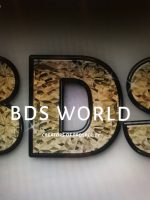 BDS World